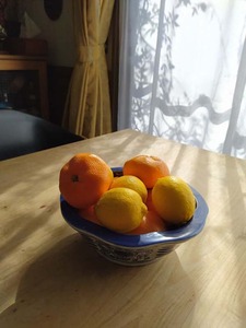 mikan.jpg