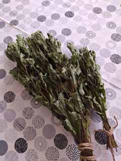 mintthi-4-24c.jpg