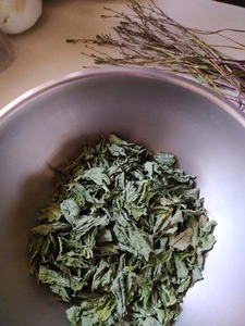 mintthi-4-24d.jpg