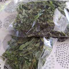 mintthi-4-24e.jpg