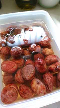 sibukawa.jpg