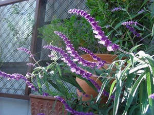 1A8FC0E120080.jpg