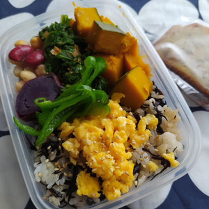 bentou9gatu.jpg