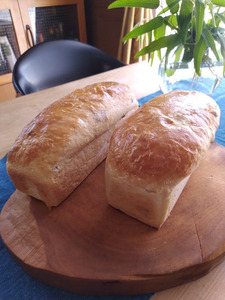 budoupan1.jpg